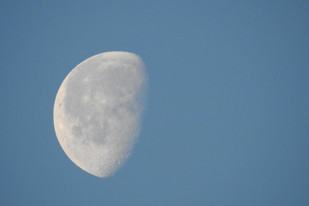 DSCN3368.jpg