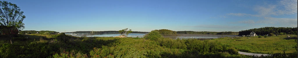 DSCN3520.jpg