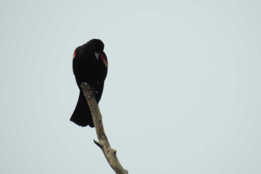 DSCN3526.jpg