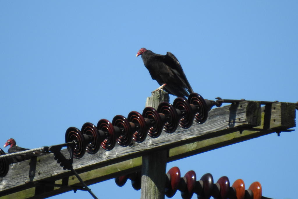 DSCN3539.jpg