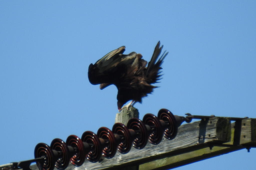 DSCN3541.jpg