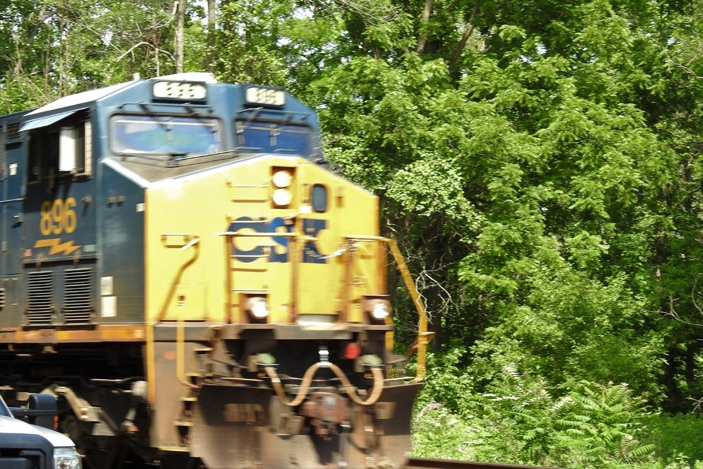 DSCN3543.jpg