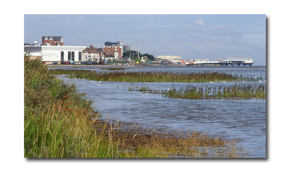 DSCN3561.jpg