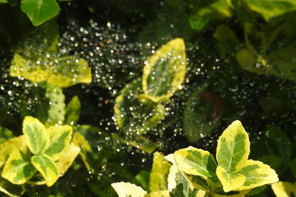 DSCN3580.jpg