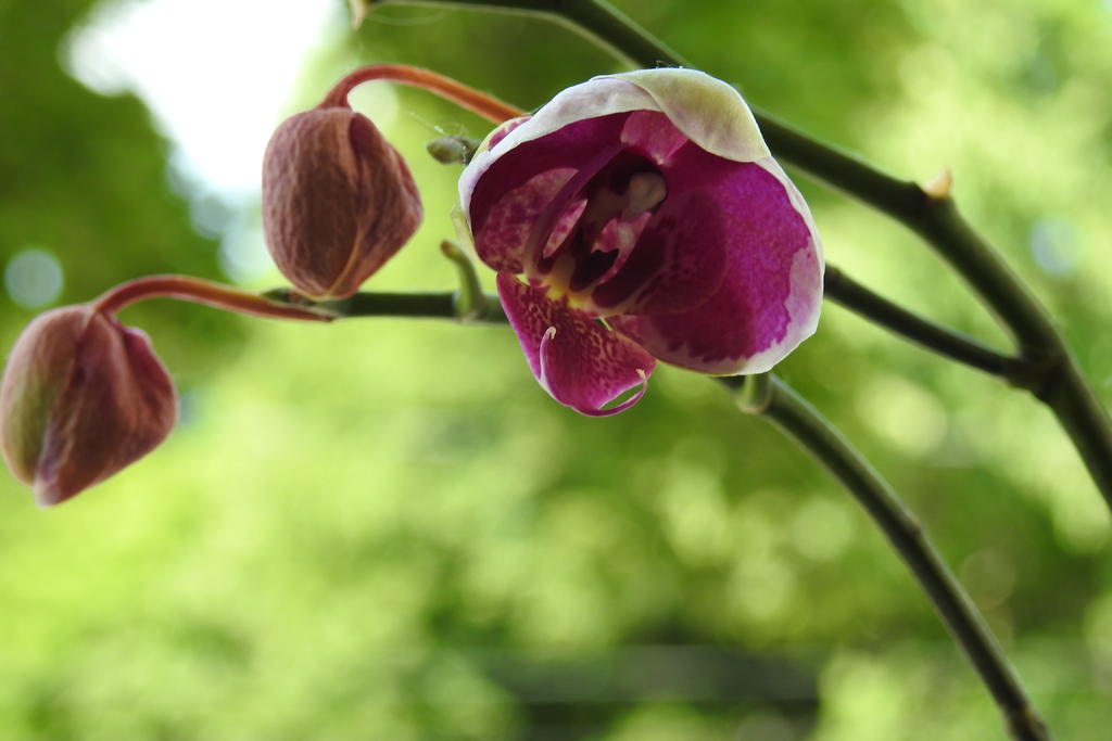 DSCN3603.jpg