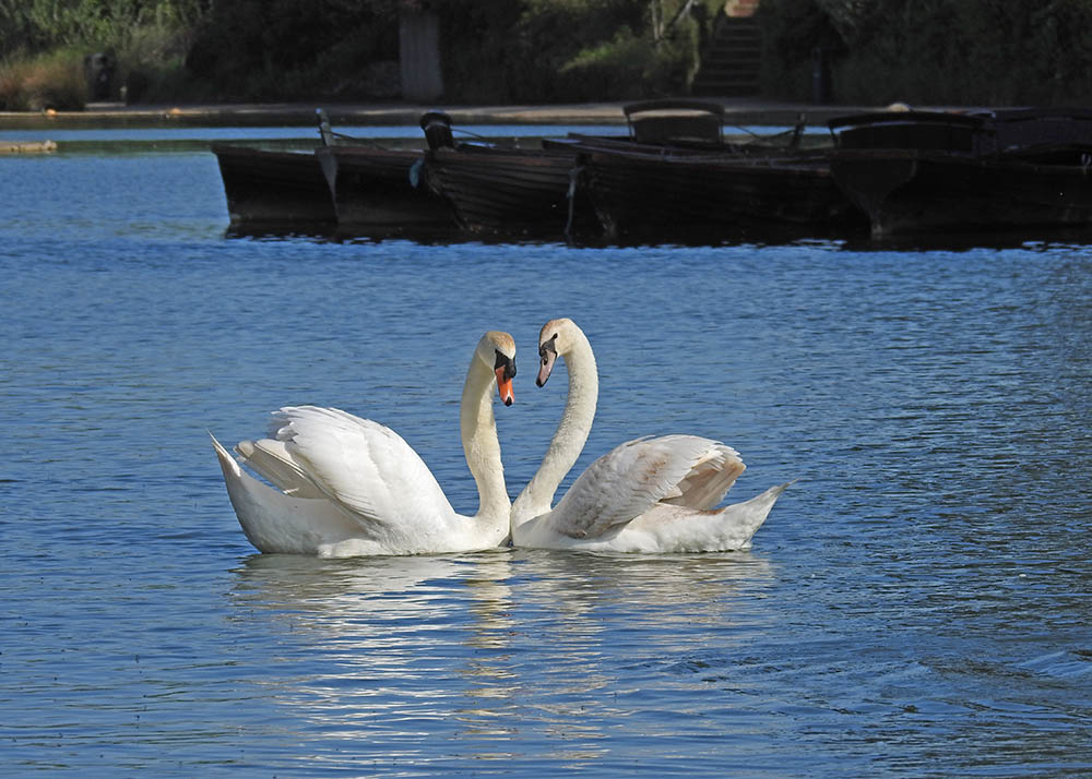 DSCN3619.jpg