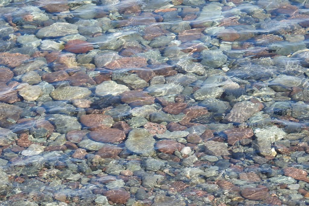 DSCN3625.jpg