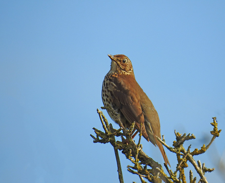DSCN3675.jpg
