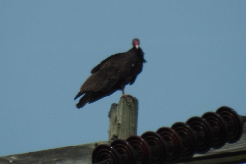 DSCN3690.jpg