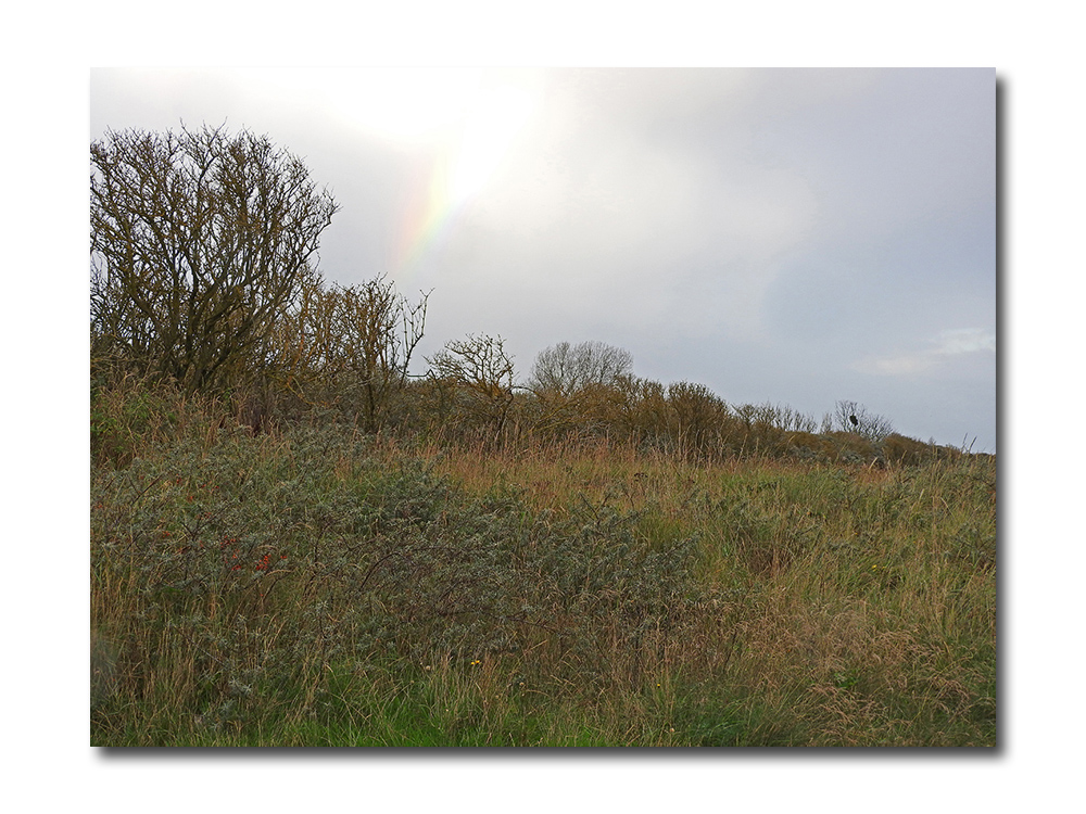 DSCN4035.jpg