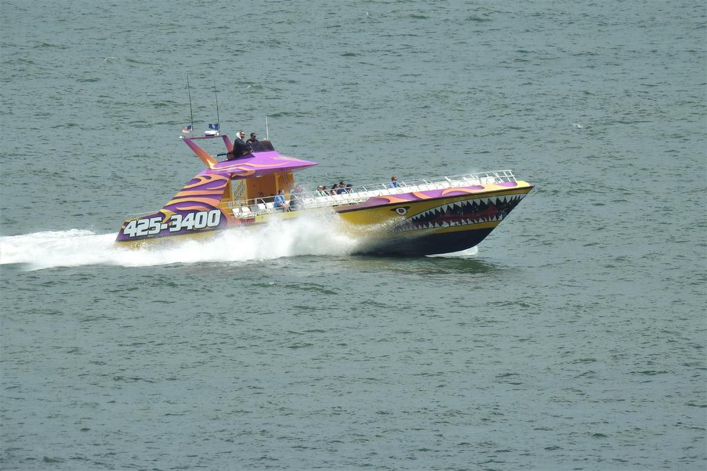 DSCN4055.jpg