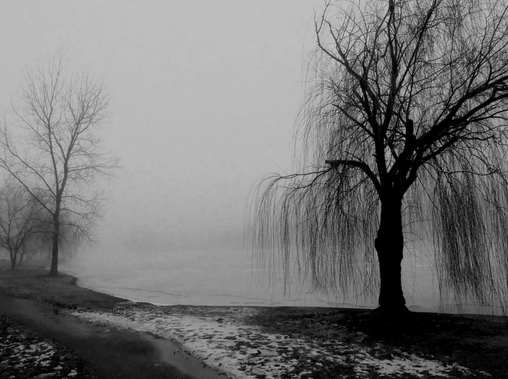DSCN4152a.jpg