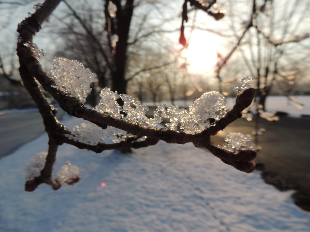 DSCN4253.jpg