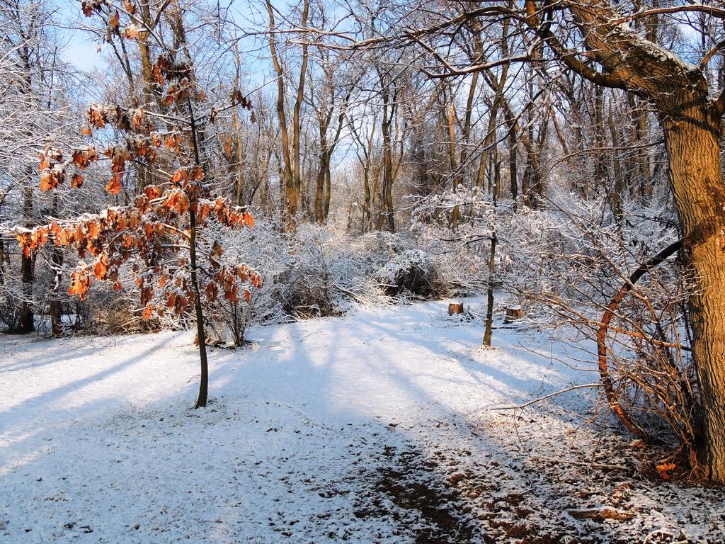 DSCN4269.jpg