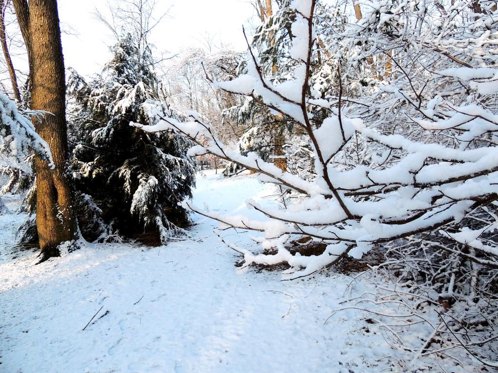 DSCN4280.jpg