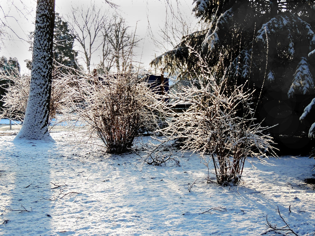 DSCN4283.jpg