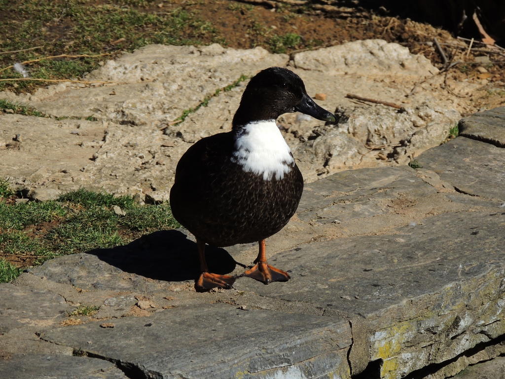 DSCN4838.jpg