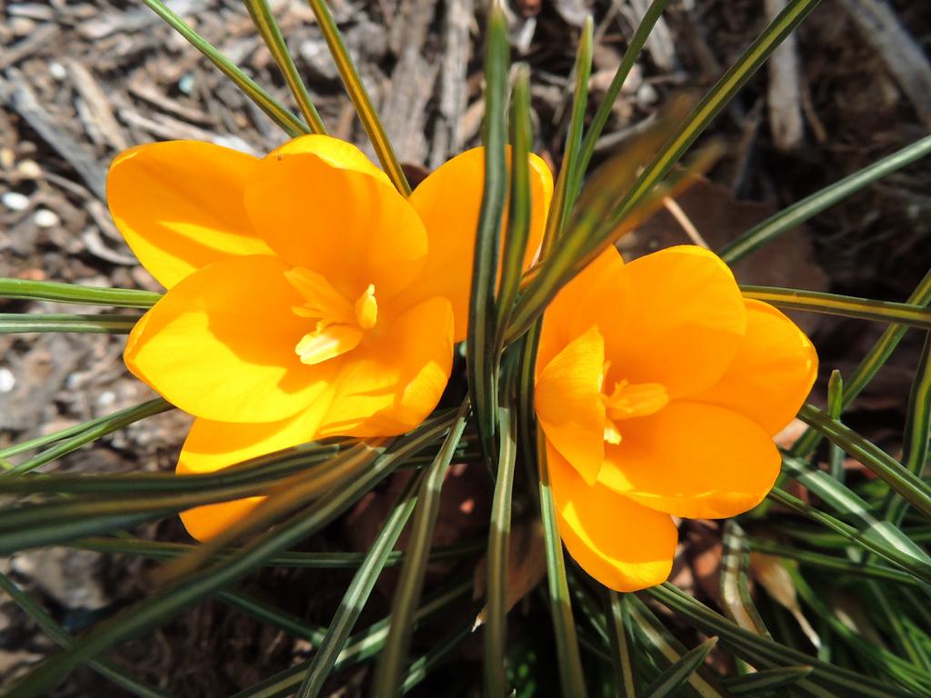 DSCN5078.jpg