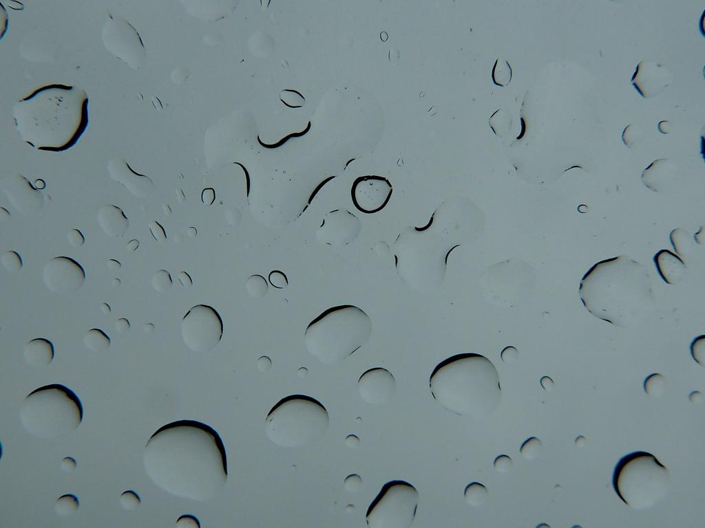 DSCN5446a.jpg