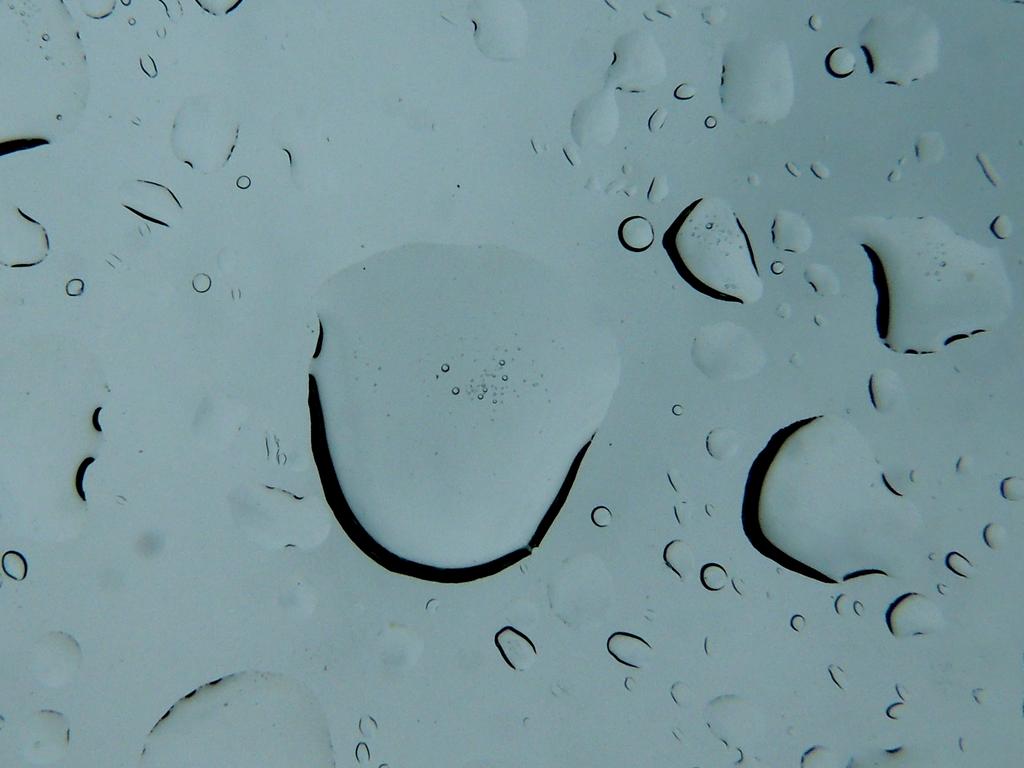 DSCN5454a.jpg