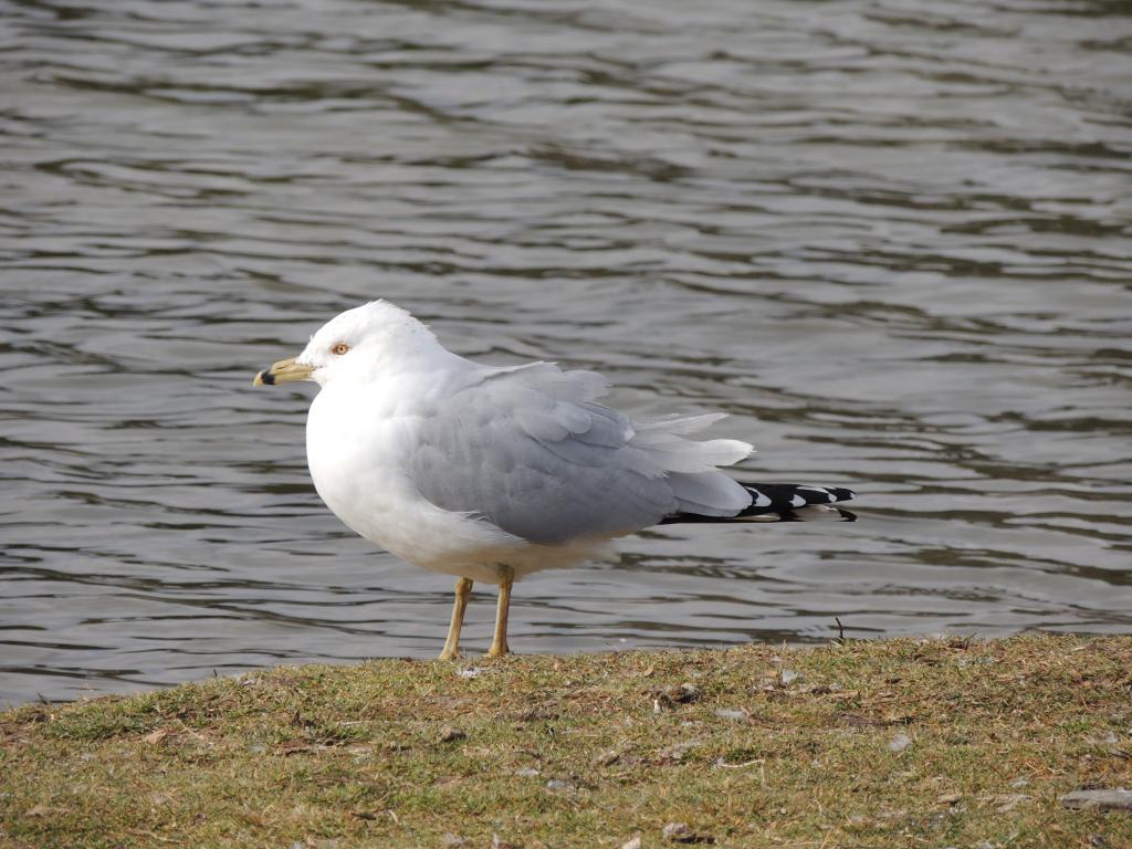 DSCN5632.jpg