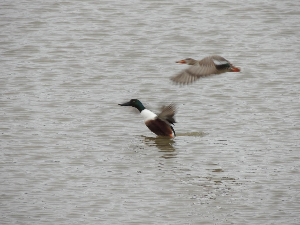 DSCN5648.jpg