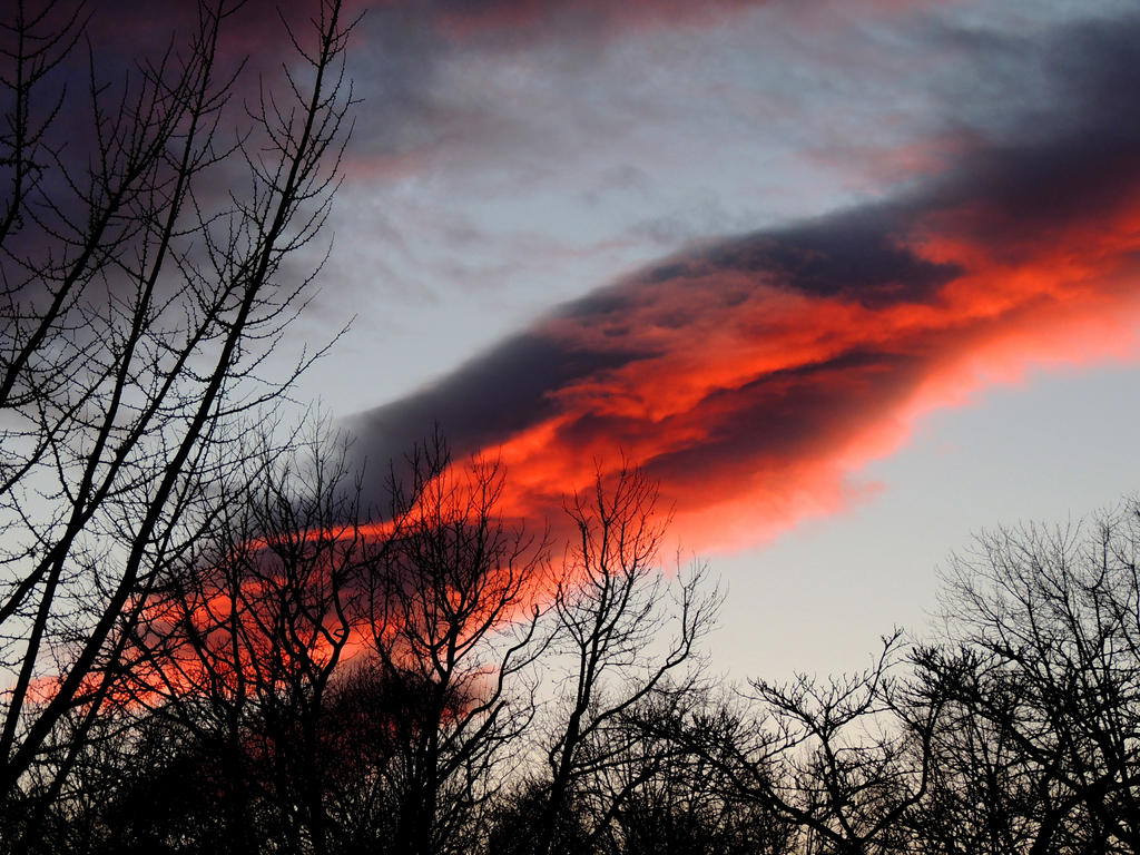 DSCN6245.jpg