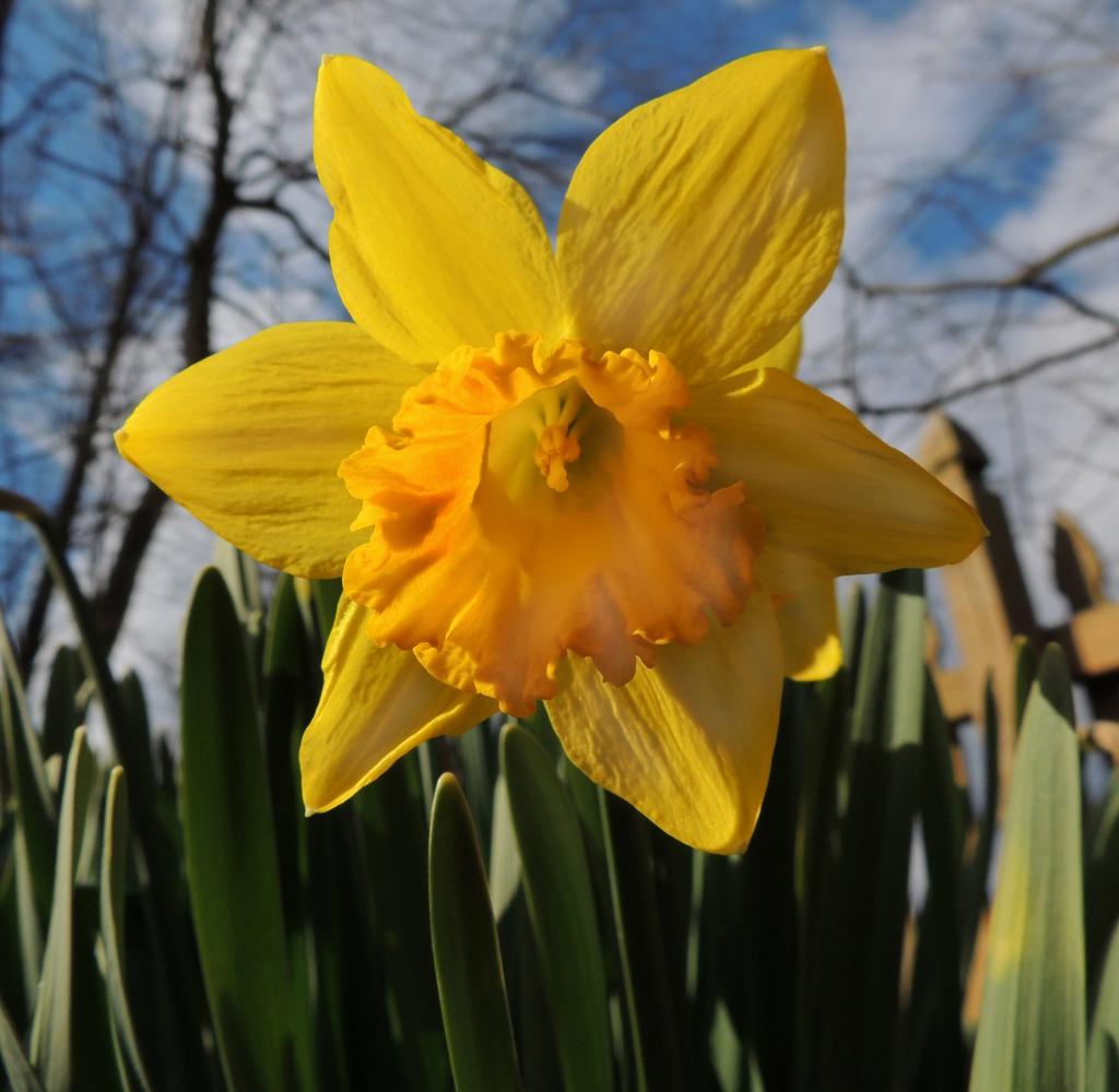 DSCN6766.jpg