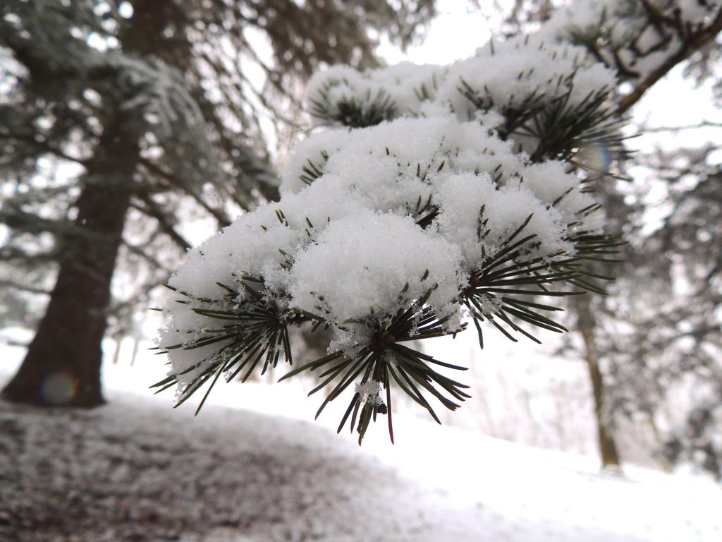 DSCN6883.jpg