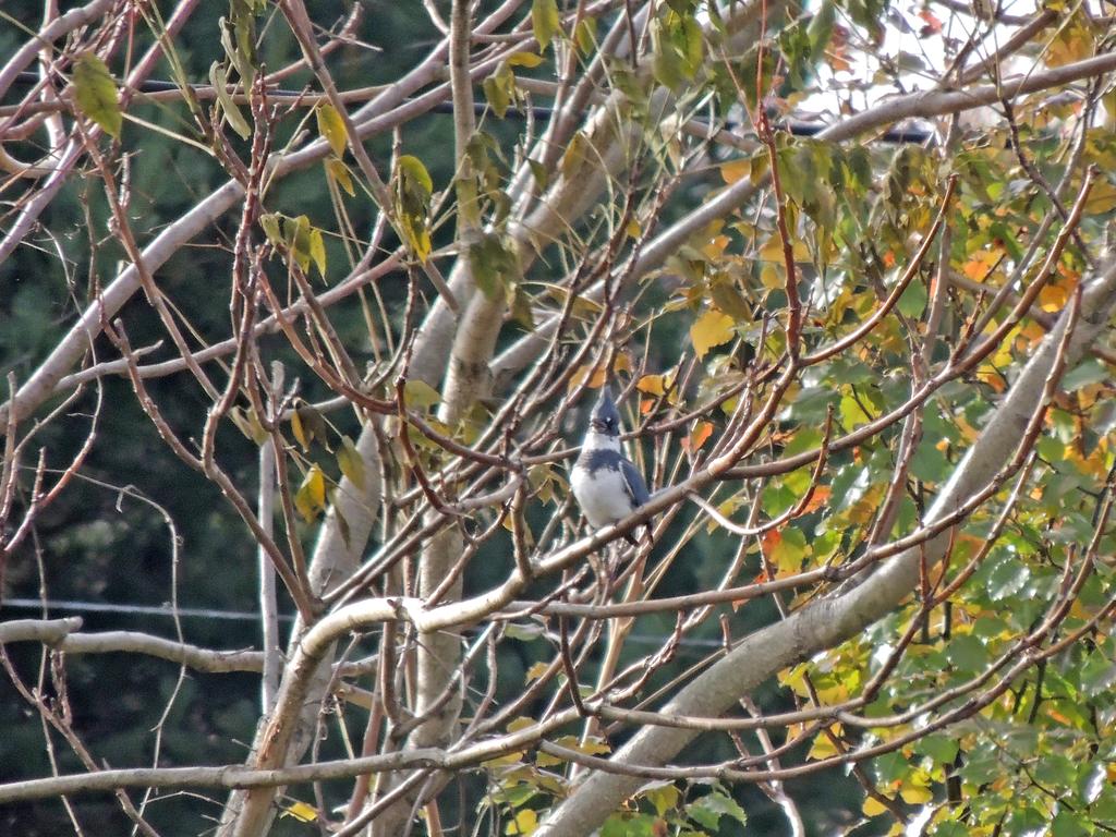 DSCN8902.jpg