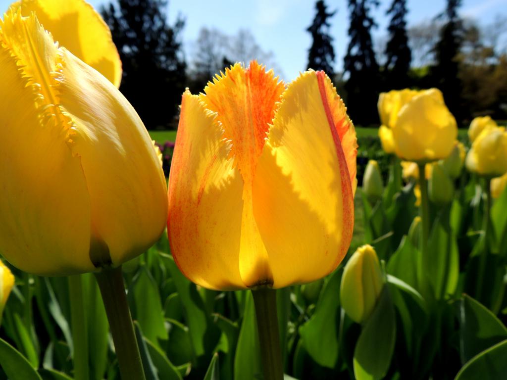 DSCN8904.jpg