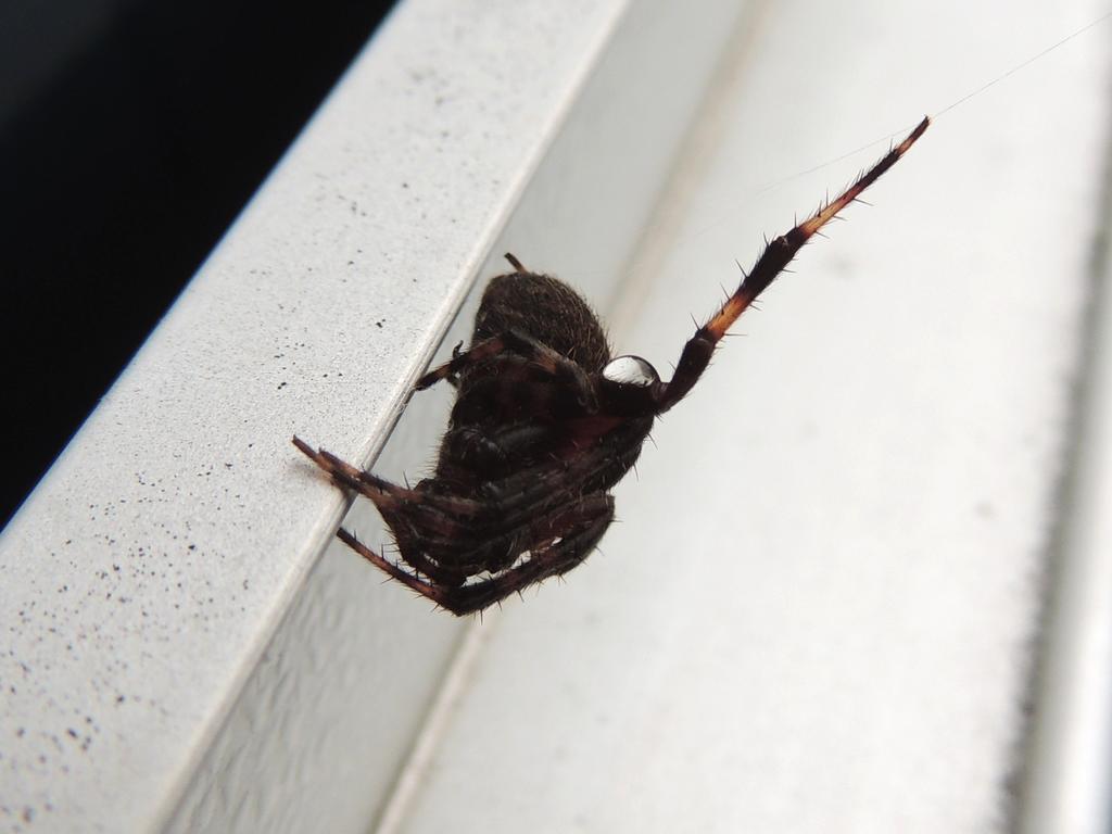 DSCN8908.jpg