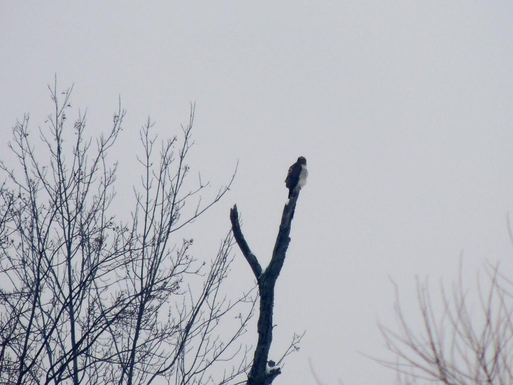 DSCN8910.jpg