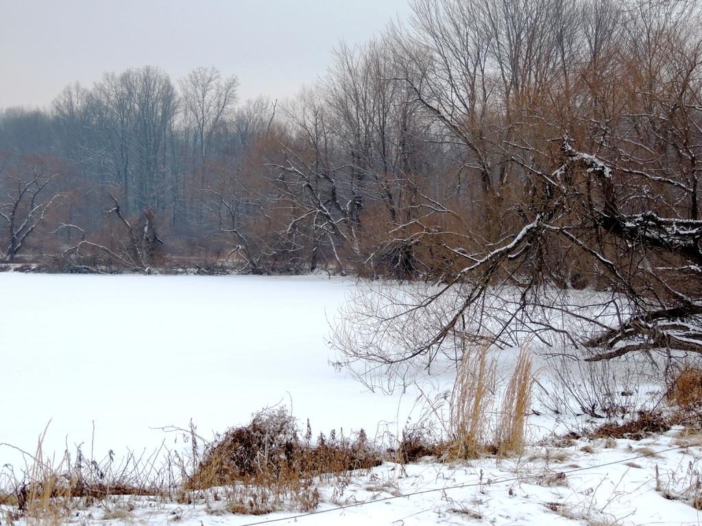 DSCN8913.jpg