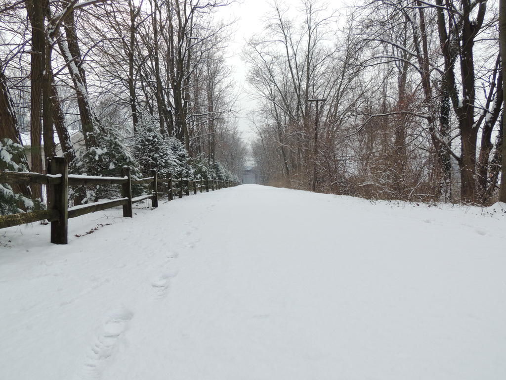 DSCN8917.jpg