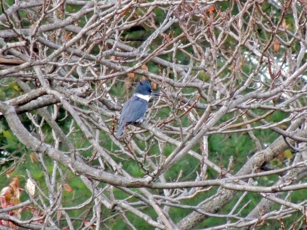 DSCN8918.jpg