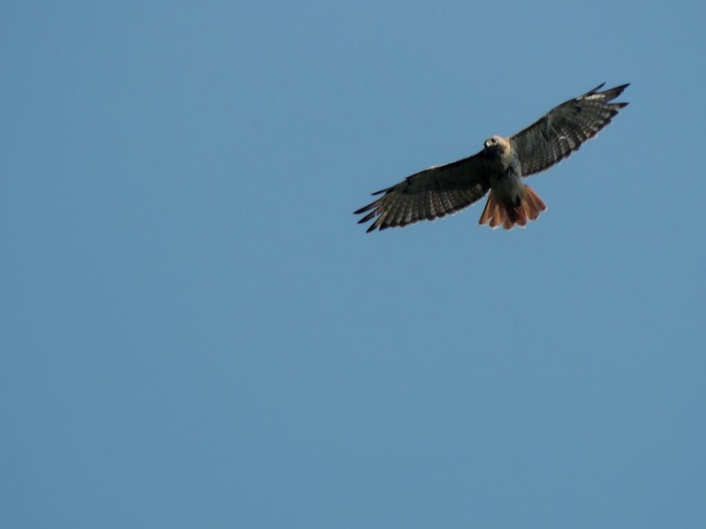 DSCN8919.jpg