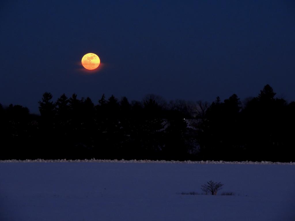DSCN8927.jpg
