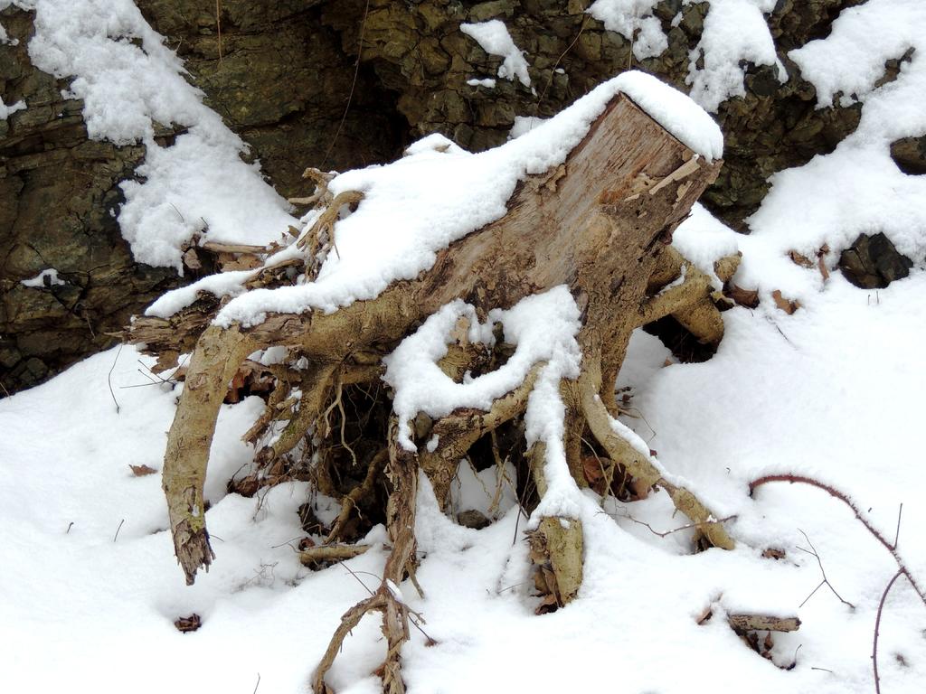 DSCN8940.jpg