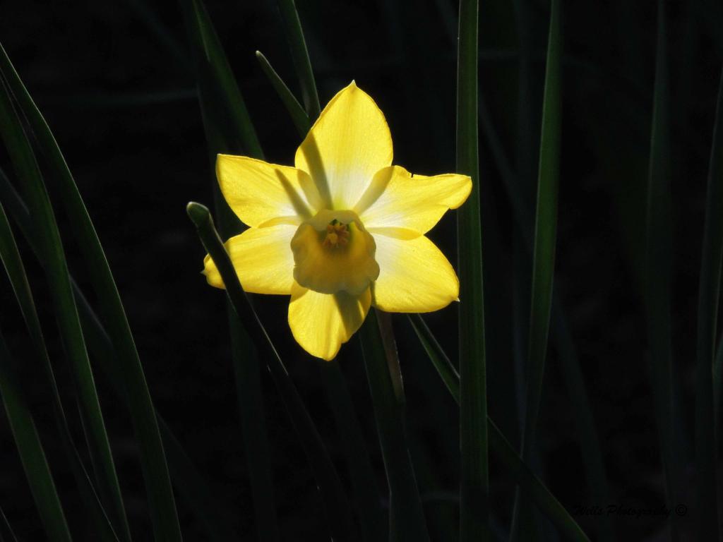 DSCN8943006.jpg