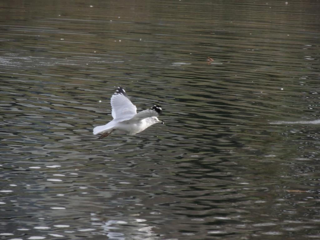 DSCN8956.jpg