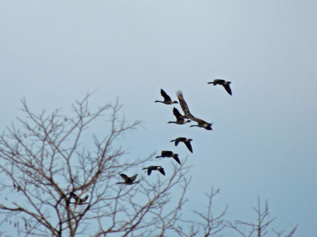 DSCN8968.jpg