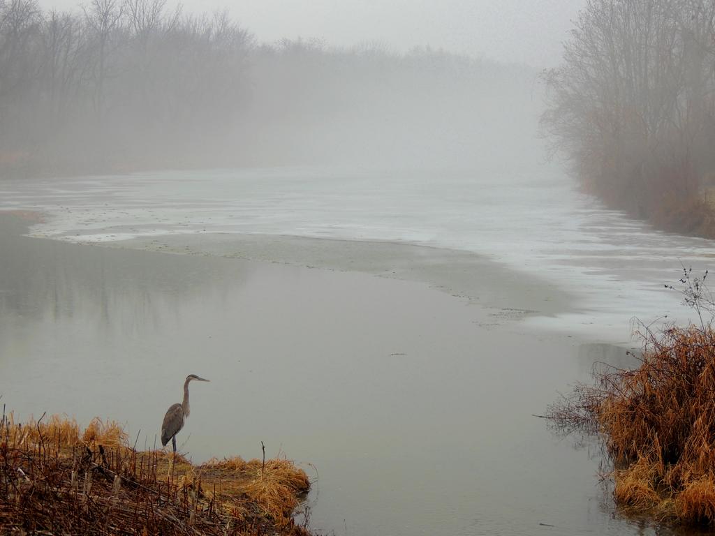 DSCN8987.jpg