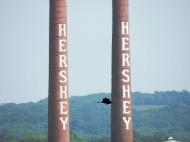 DSCN8992.JPG