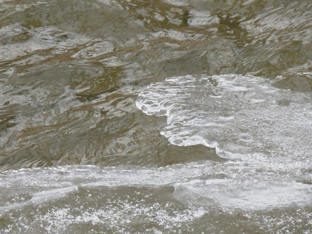DSCN8996.jpg