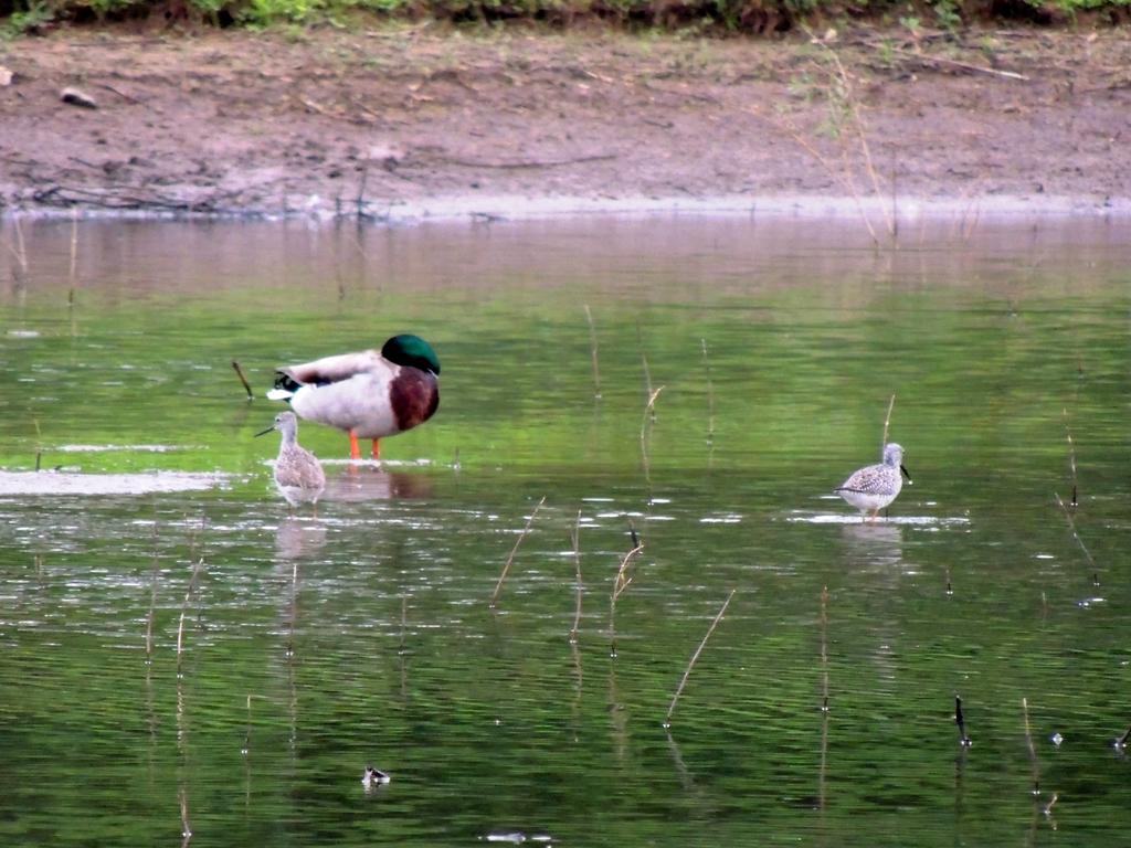 DSCN9004.jpg