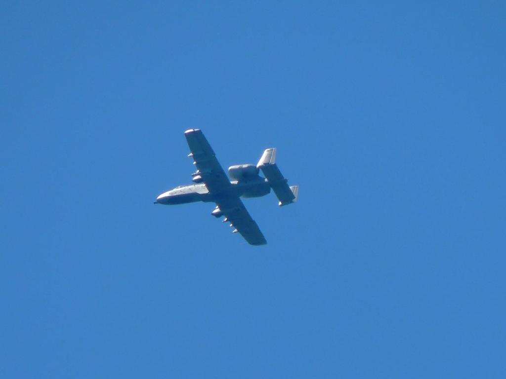 DSCN9006.jpg