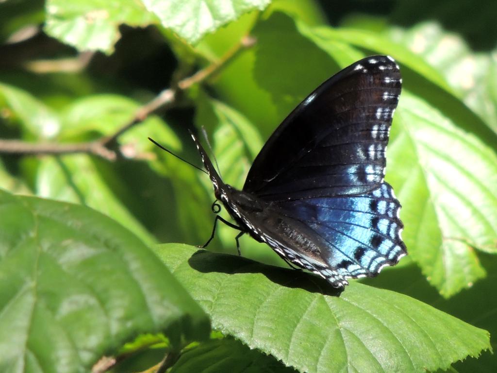 DSCN9027.jpg
