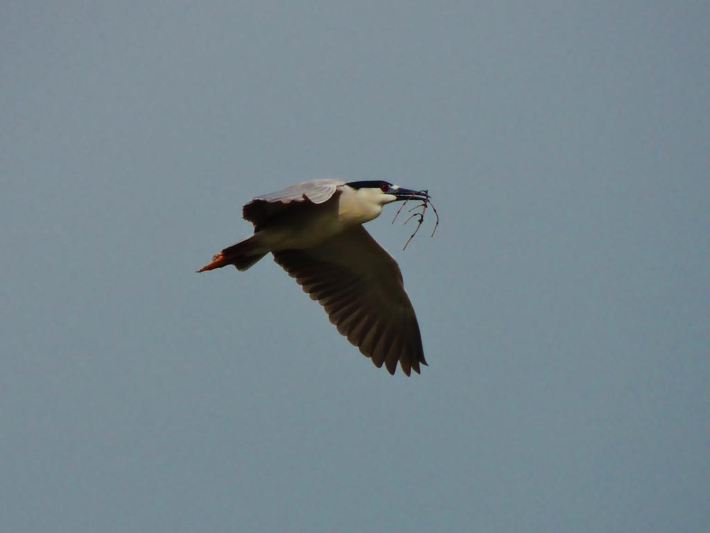 DSCN9035.jpg