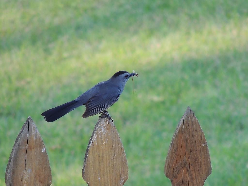 DSCN9038.jpg